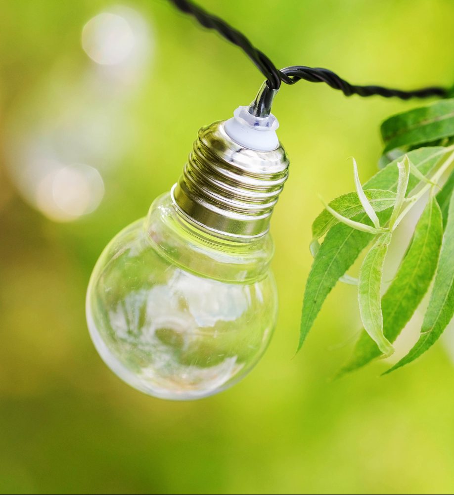 Une ampoule pendu dans des plantes