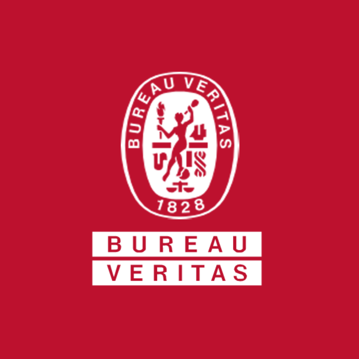 Logo Bureau Veritas