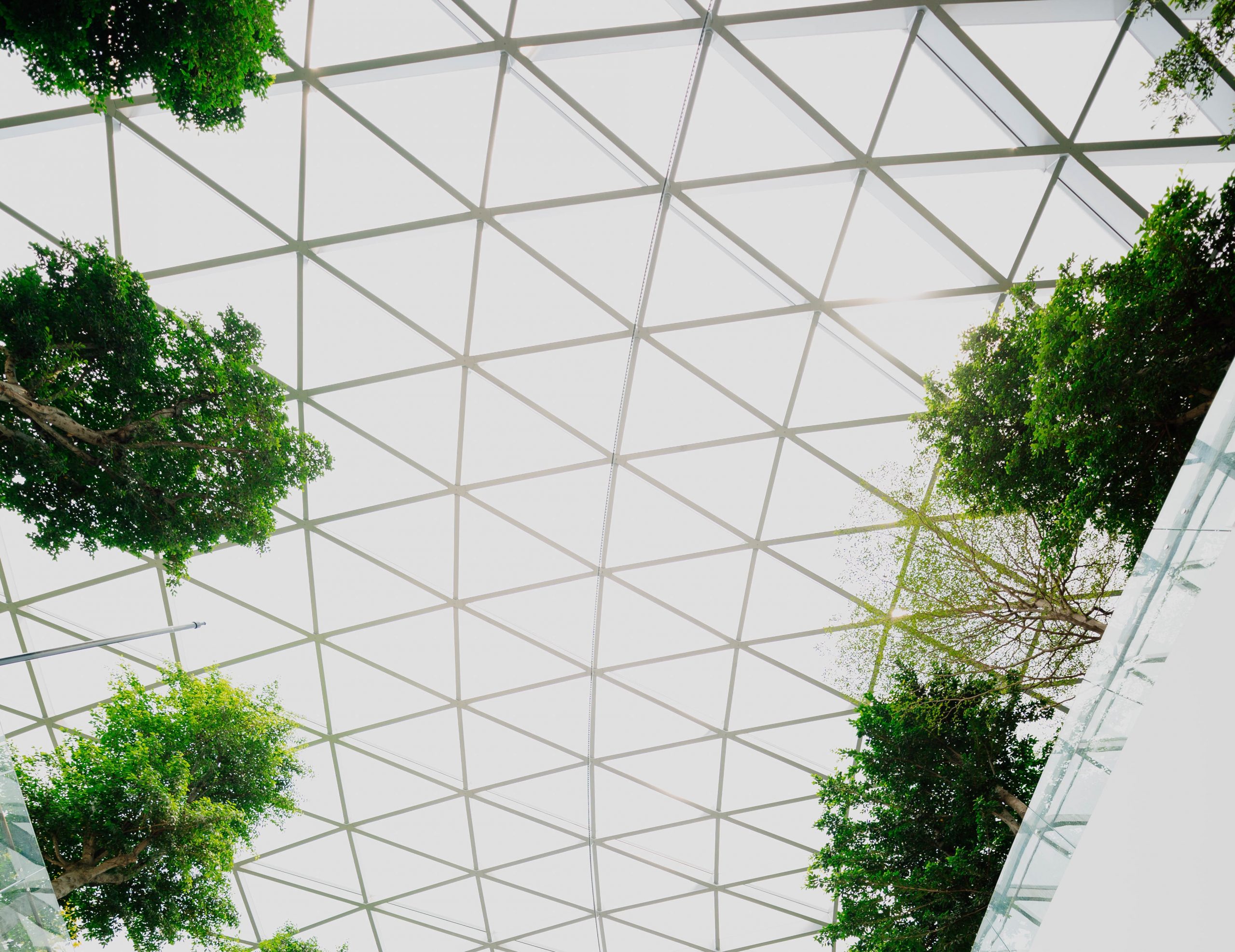 Fenêtre de bâtiment